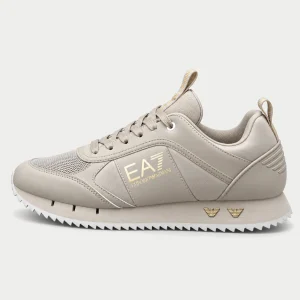 EMPORIO ARMANI 2026 GRIS ORO